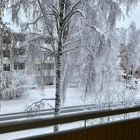 Rovaniemiapartment 2 Bedroom, Livingroom, Sauna *